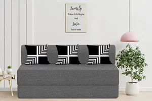 Revolutionize Your Living Space with Dr. Smith Orthopedic Mattress Sofa Cums Bed